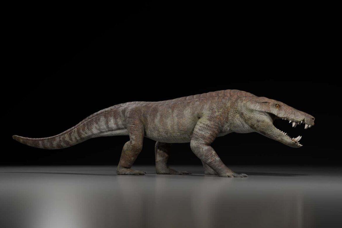 Ancient-crocodile-relative-could-have-ripped-dinosaurs-apart.jpg